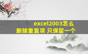 excel2003怎么删除重复项 只保留一个